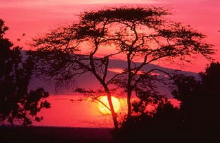 AfricaComboni_022