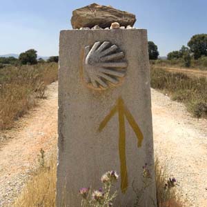 Cammino_di_Santiago