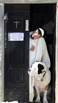 Fra_MIchele_Falzone