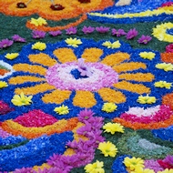 fiori190