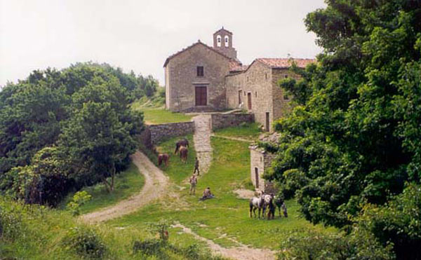 gamogna1